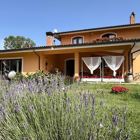 Bed & Breakfast Le Piagge Scurcola Marsicana Extérieur photo